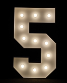 Podświetlane cyfry z żarówkami 0,1,2,3,4,5,6,7,8,9